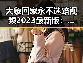 大象回家永不迷路视频2023最新版:温馨动画引领宠物归家新体验