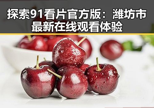 探索91看片官方版：潍坊市最新在线观看体验