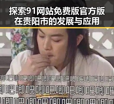 探索91网站免费版官方版在贵阳市的发展与应用