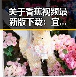 关于香蕉视频最新版下载:宜宾市用户的最新选择
