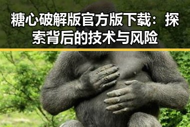 糖心破解版官方版下载:探索背后的技术与风险