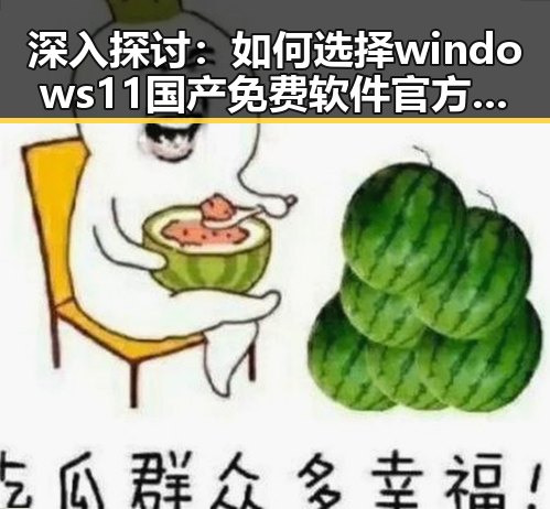 深入探讨：如何选择windows11国产免费软件官方版以保障系统安全
