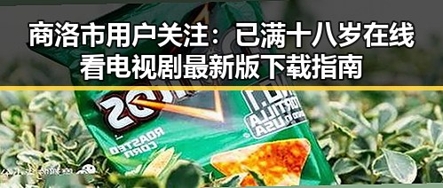 商洛市用户关注：已满十八岁在线看电视剧最新版下载指南