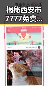 揭秘西安市7777免费版：最新免费资源全解析
