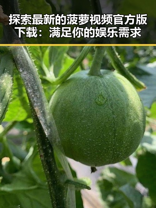 探索最新的菠萝视频官方版下载:满足你的娱乐需求