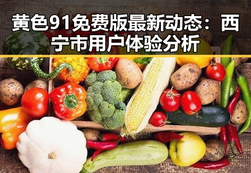 黄色91免费版最新动态：西宁市用户体验分析