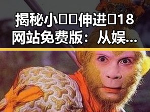 揭秘小🐔🐔伸进🈲18网站免费版：从娱乐圈吃瓜到网络新现象