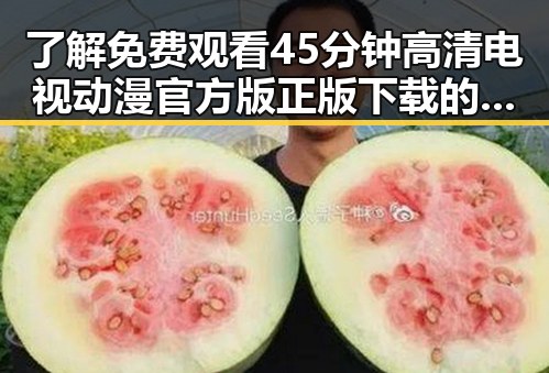 了解 免费观看45分钟高清电视动漫官方版正版下载的最新动态
