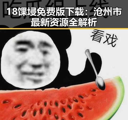 18馃埐免费版下载：沧州市最新资源全解析