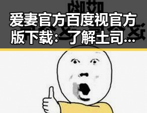 爱妻官方百度视官方版下载:了解土司面包视频背后的魅力