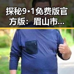 探秘9·1免费版官方版：眉山市最新版本全面解析