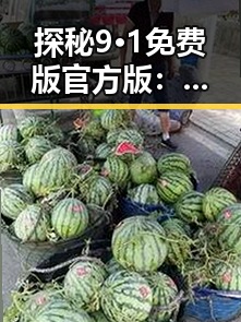 探秘9·1免费版官方版:眉山市最新版本全面解析