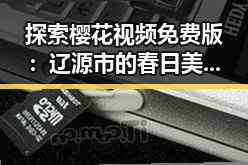 探索樱花视频免费版:辽源市的春日美景与在线观看体验
