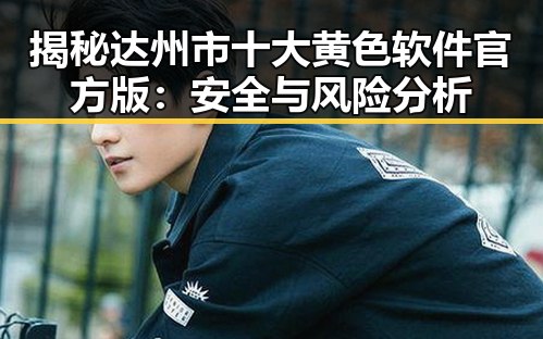 揭秘达州市十大黄色软件官方版：安全与风险分析