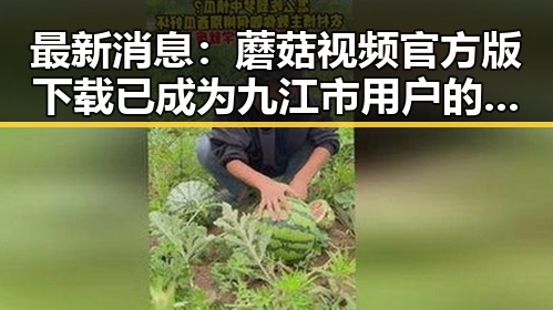 最新消息：蘑菇视频官方版下载已成为九江市用户的热门选择