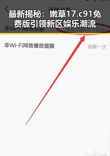 最新揭秘：嫩草17.c 91免费版引领新区娱乐潮流