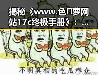 揭秘《www.色😍萝网站17c终极手册》：一站式指南助你全面了解