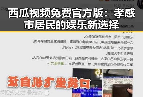 西瓜视频免费官方版：孝感市居民的娱乐新选择