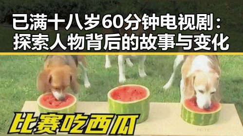 已满十八岁60分钟电视剧：探索人物背后的故事与变化