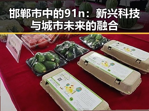 邯郸市中的91n:新兴科技与城市未来的融合