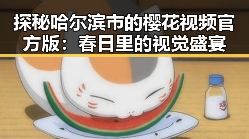 探秘哈尔滨市的樱花视频官方版：春日里的视觉盛宴