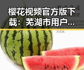 樱花视频官方版下载:芜湖市用户的最新选择