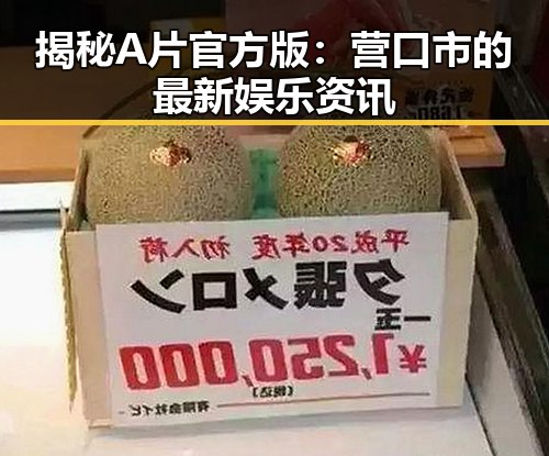 揭秘A片官方版:营口市的最新娱乐资讯